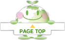 PAGE TOP